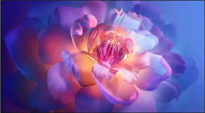 Mini LED 高亮高色域显示模组